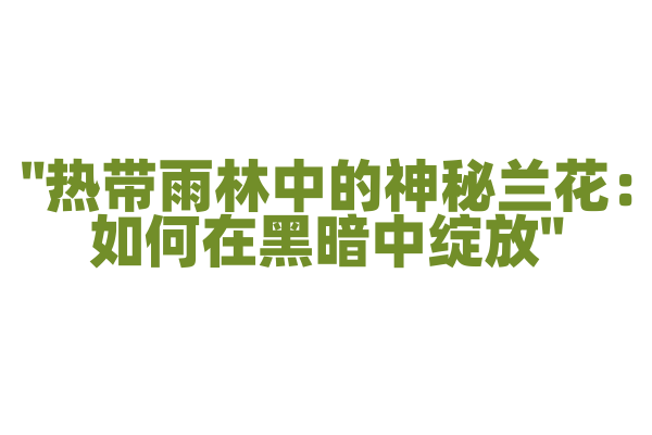 "热带雨林中的神秘兰花：如何在黑暗中绽放"